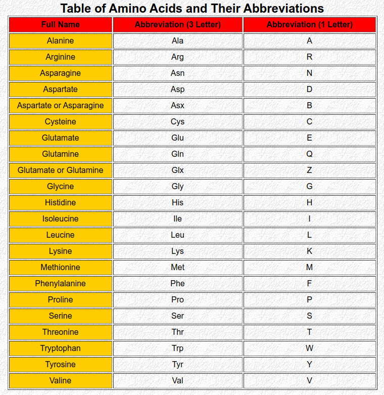氨基酸简写